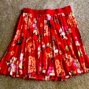 Express Small Skirt